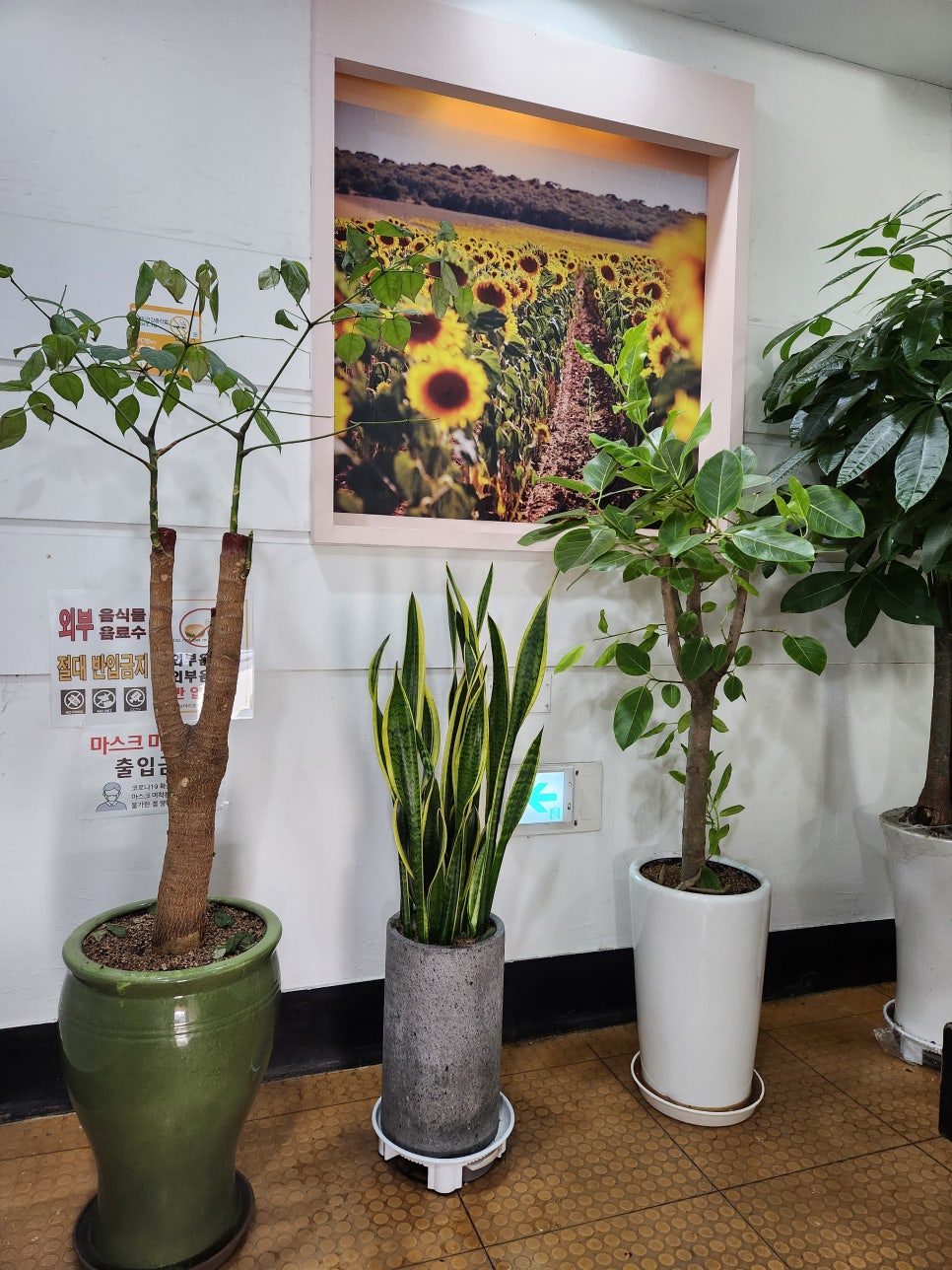 해바라기한식뷔페 이미지