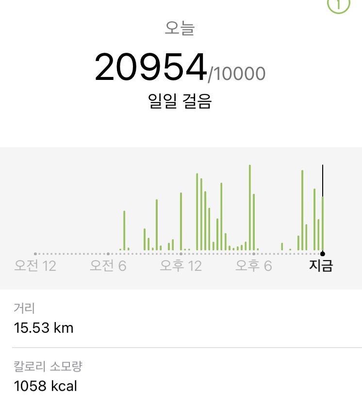 강구막회물회 이미지