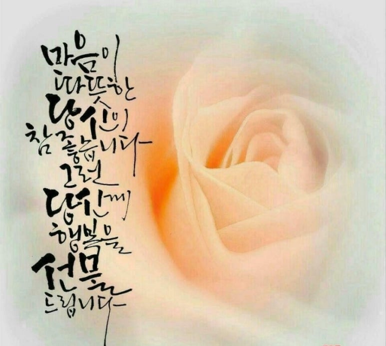 행복한잔치국수 이미지