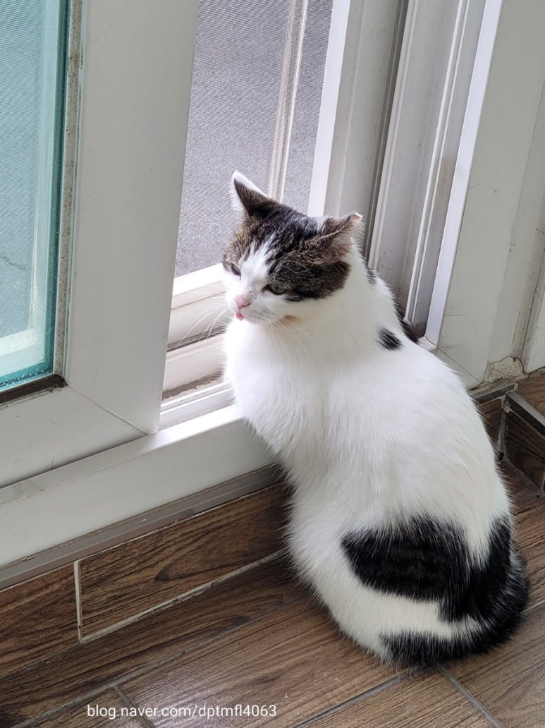카페0919 이미지