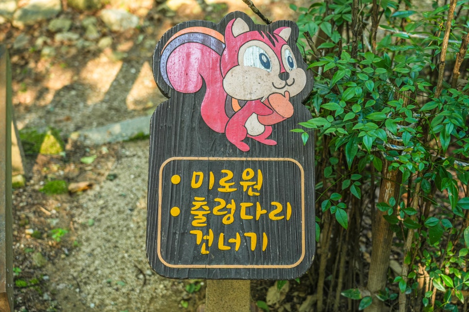 앞산고산골 유아숲체험원 이미지