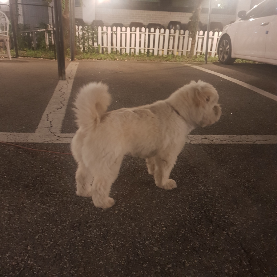 샐러드식당제천점 이미지