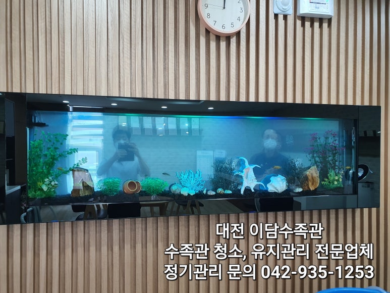 최재호마취통증의학과의원 이미지