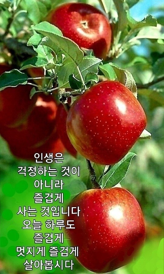 주식회사 와요 이미지