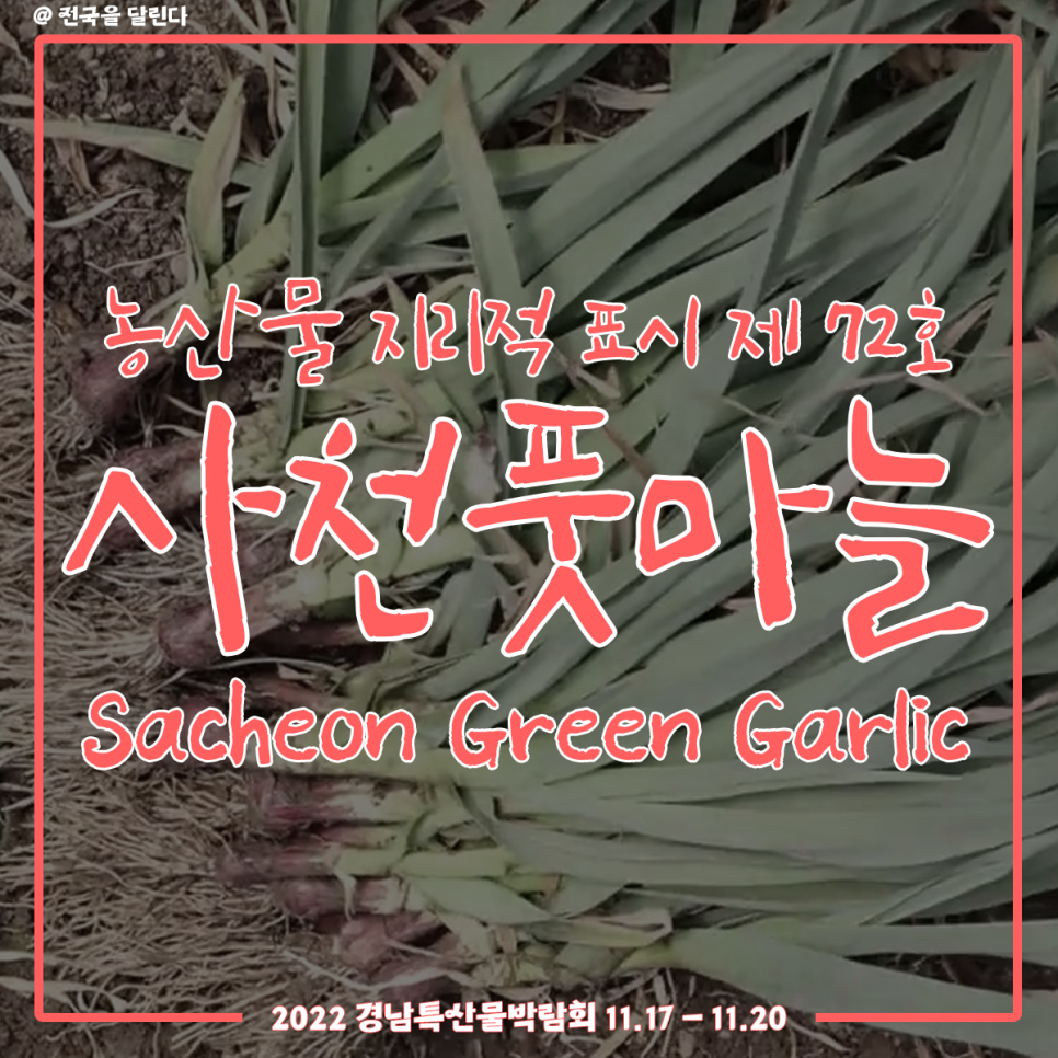(주)이지경남 이미지