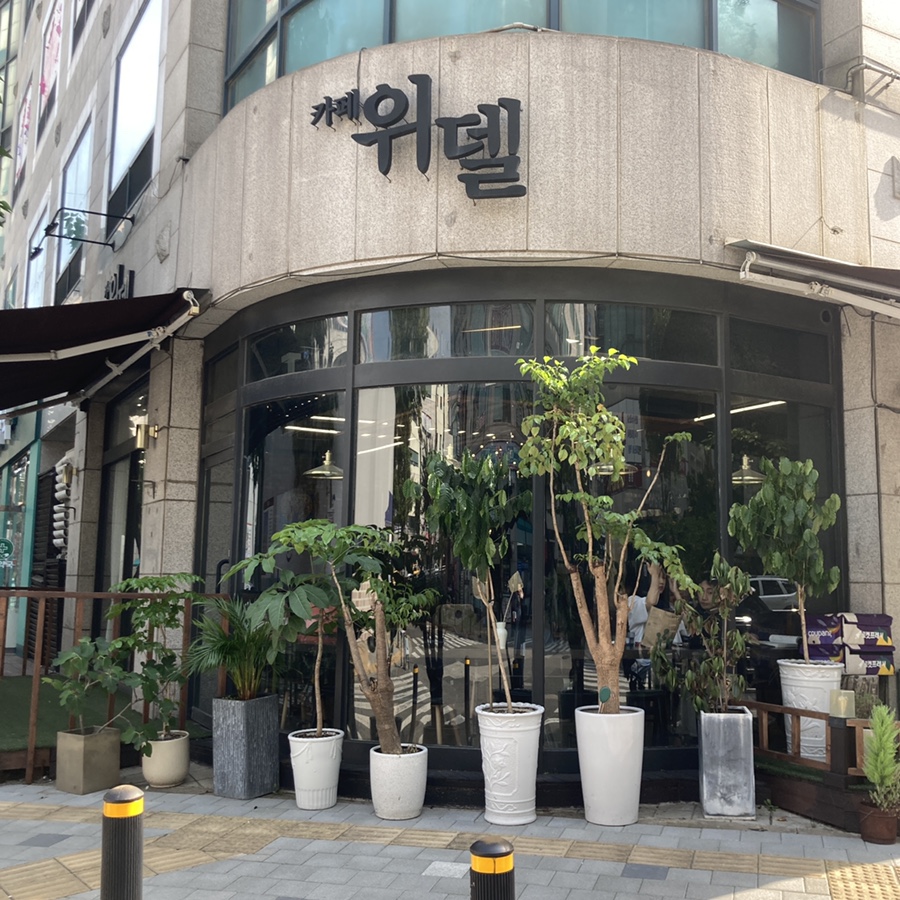 카페위델 이미지