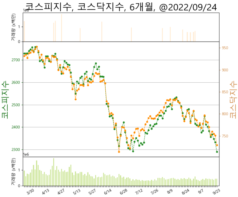(주)셀피글로벌 이미지
