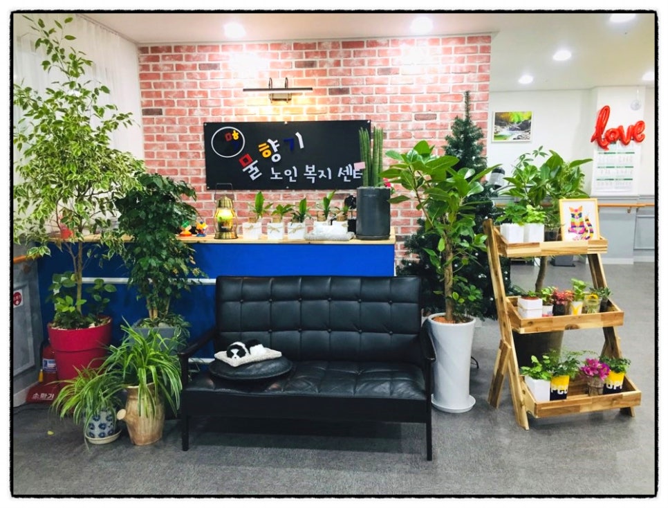 물향기환경 이미지