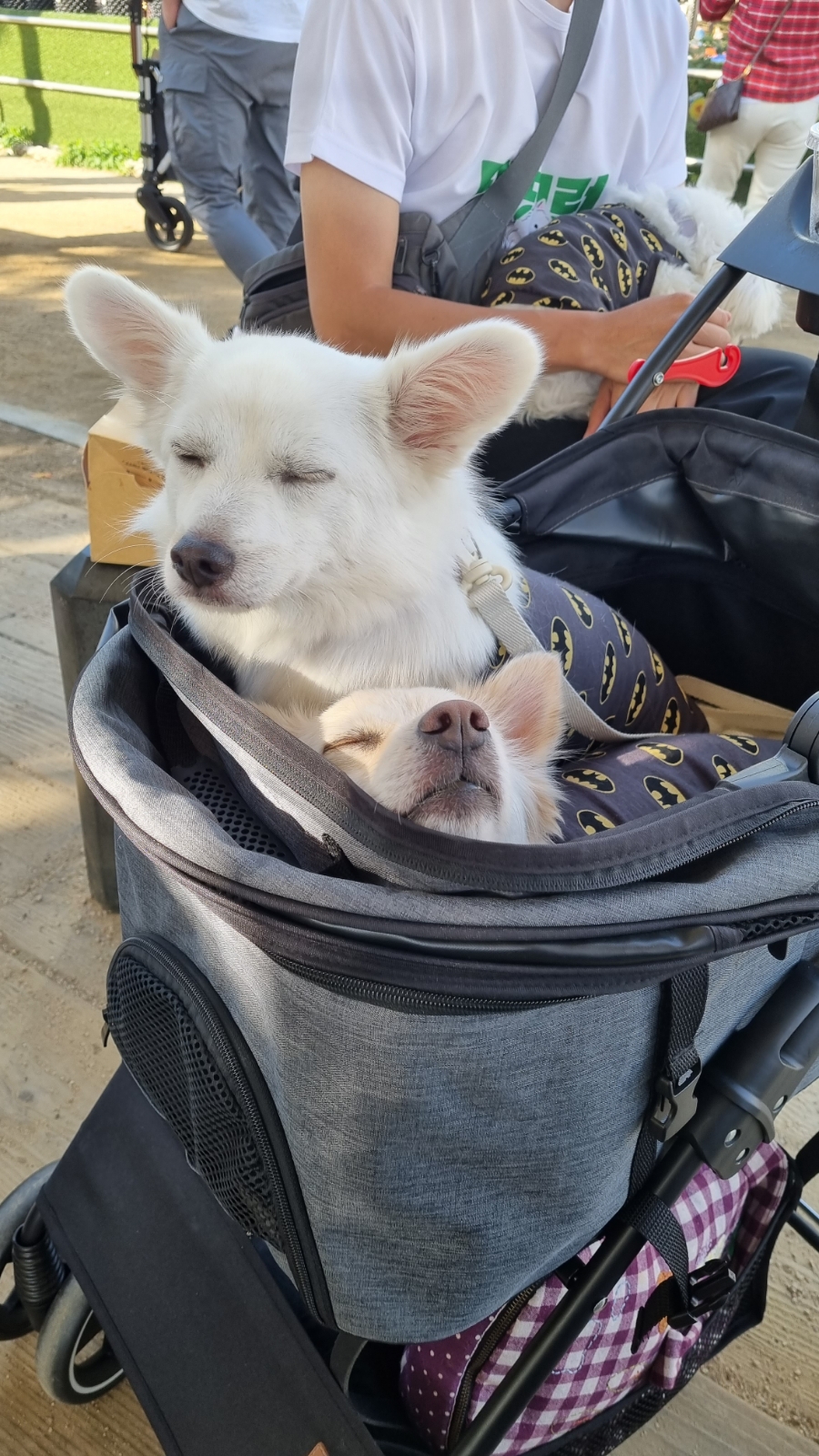 (주)다한 이미지