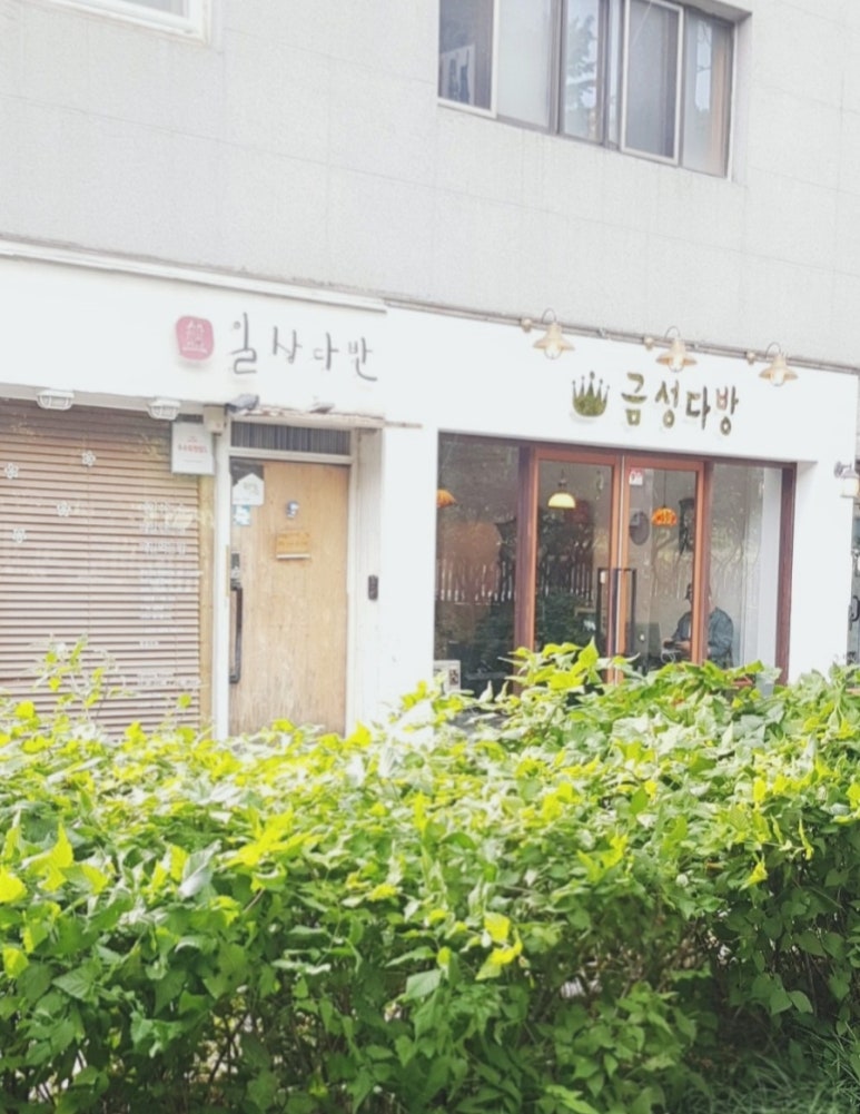 금성다방 이미지