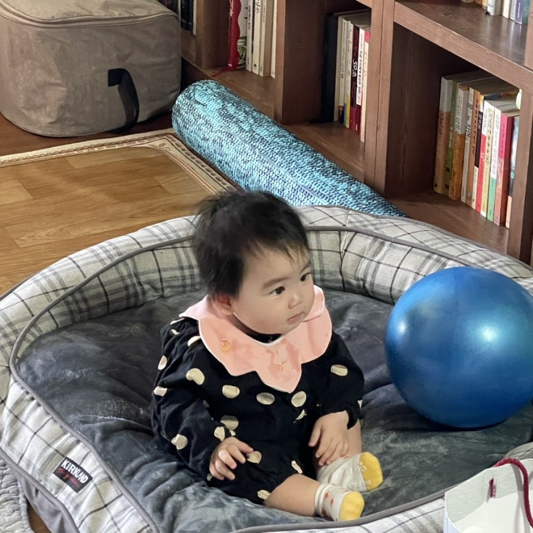 지코바율하 이미지