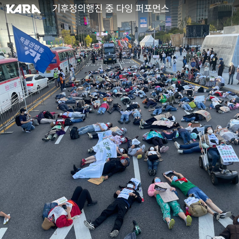 육식주의 축산 이미지