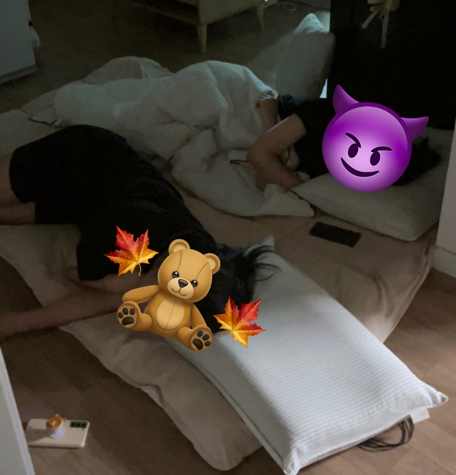 도날드앤썸머 이미지