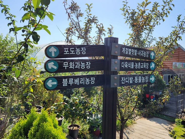 킹콩이농장 이미지