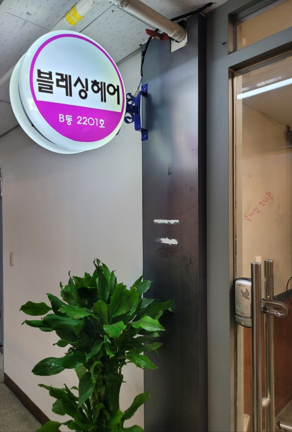블레싱헤어 이미지