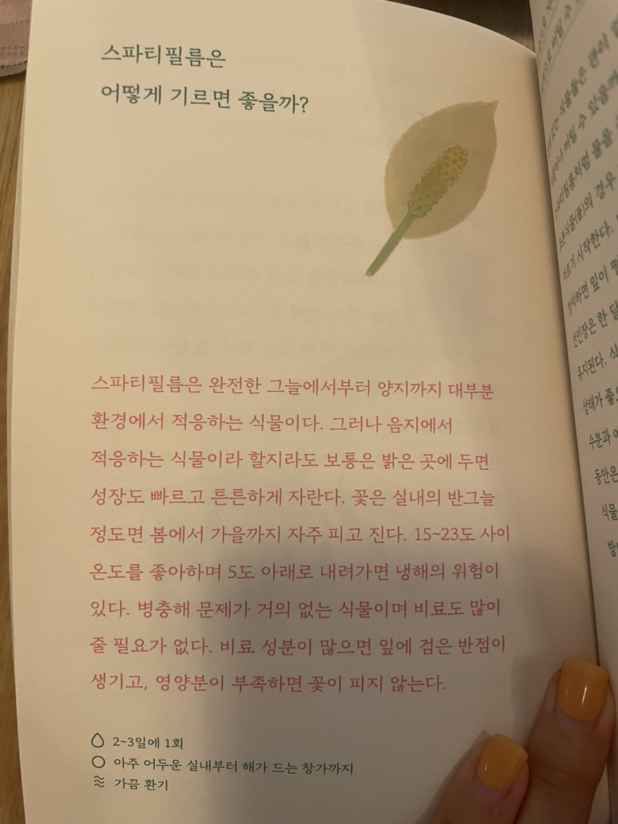 송강리조텔 이미지