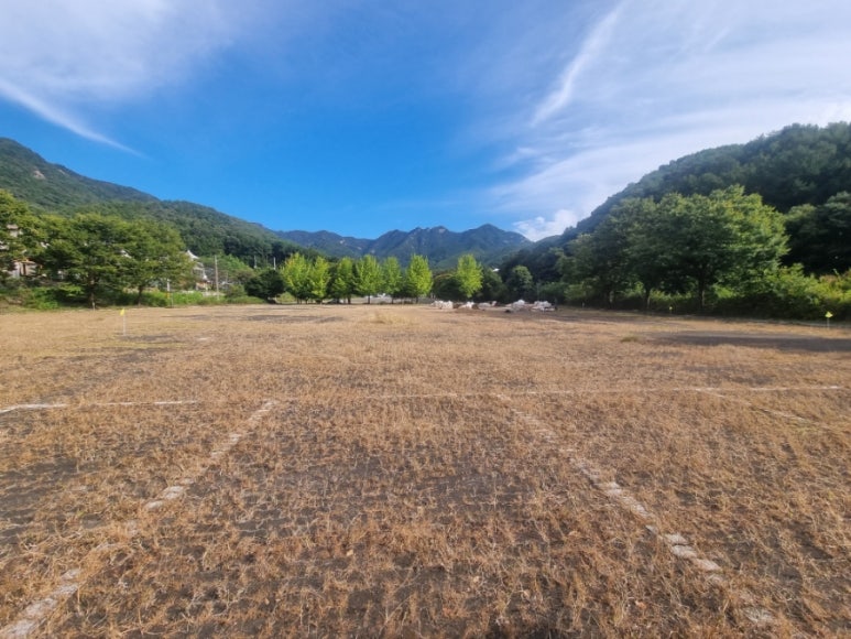 몰도바문화원 이미지
