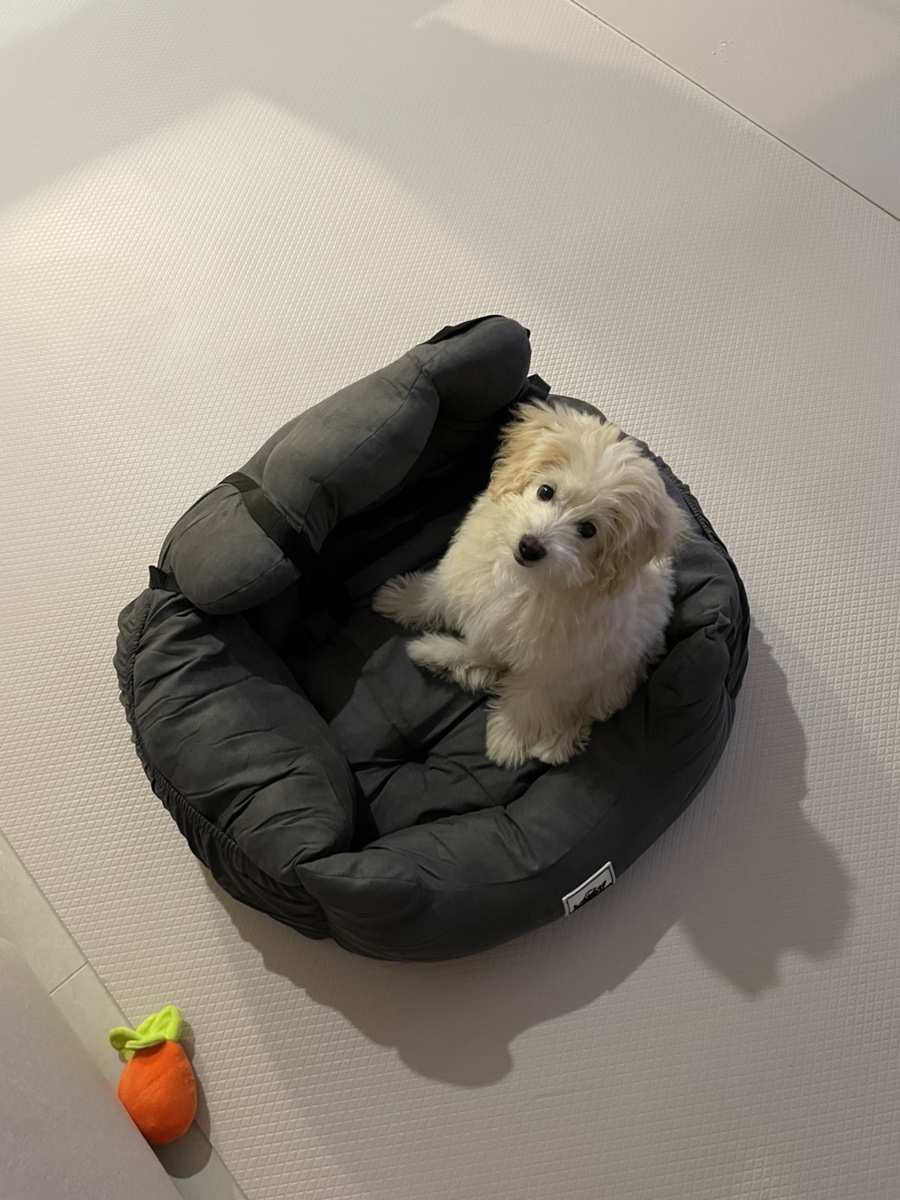 일취 이미지