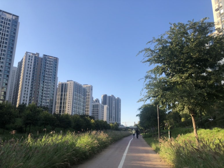 상일동화 이미지