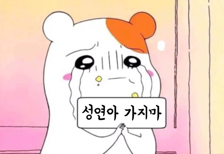 오피자 이미지