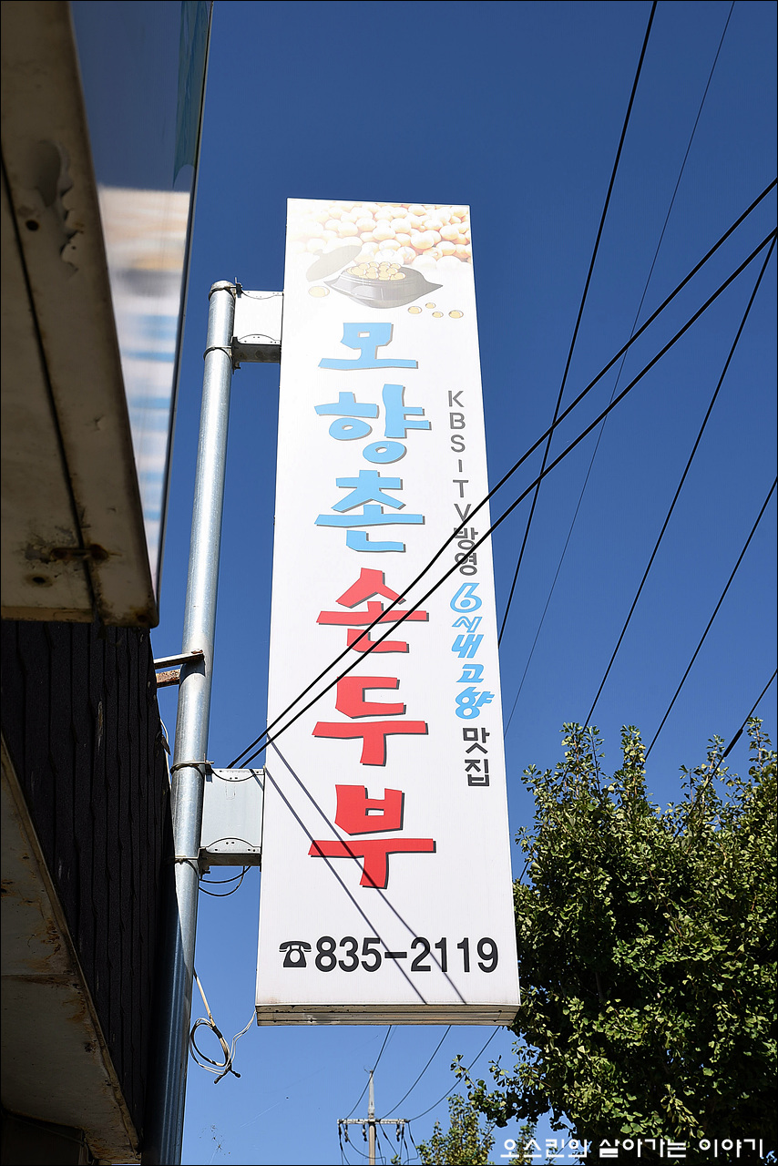 모향촌손두부 이미지