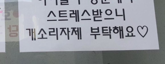 이팔청춘 이미지