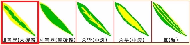 원창광택 이미지
