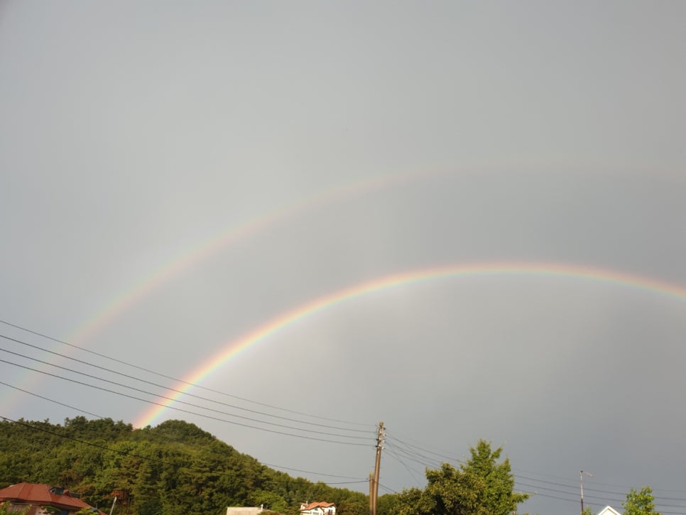 황금산 한우 이미지