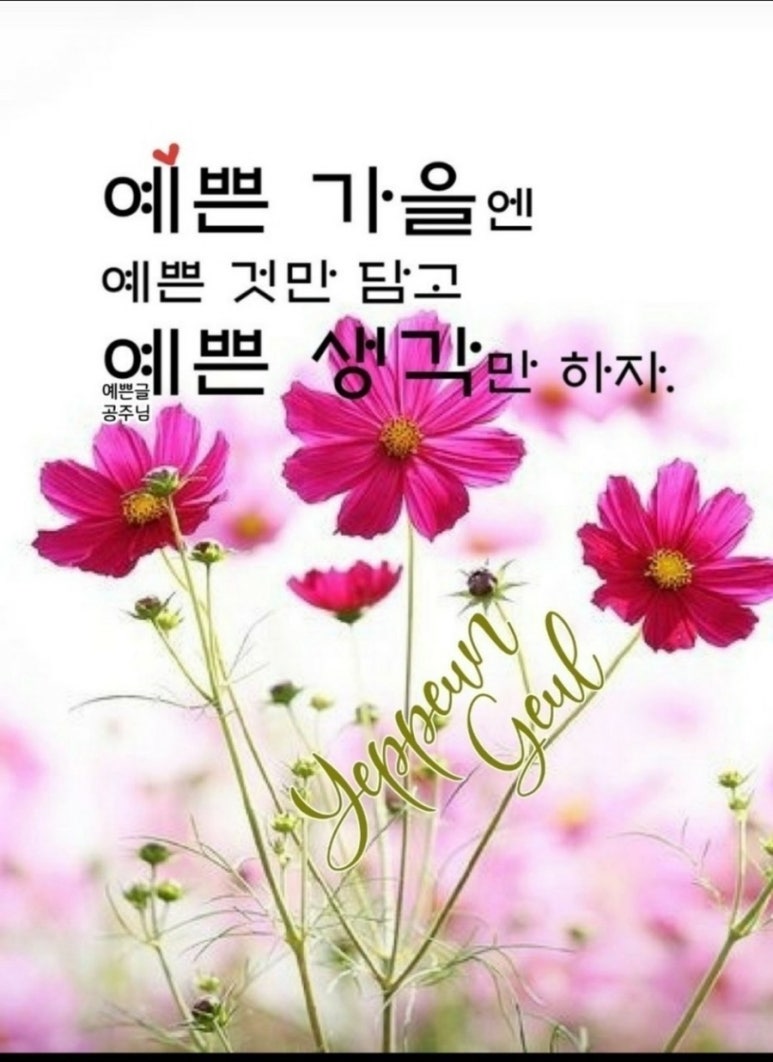 다봉 이미지