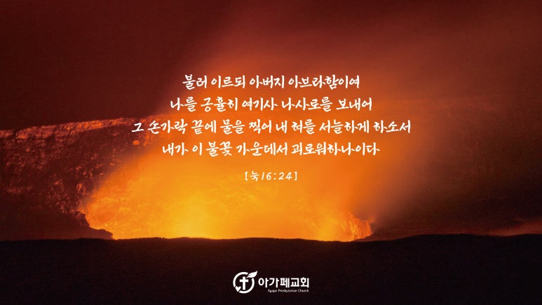 (주)자색나라 이미지