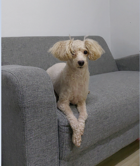 진민네 이미지