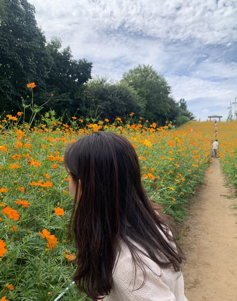 우경헤어 이미지