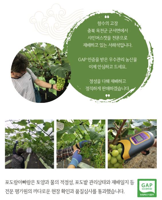 포도랑농원 이미지
