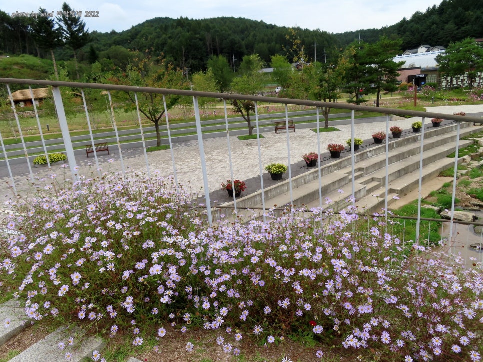 달빛공간 이미지