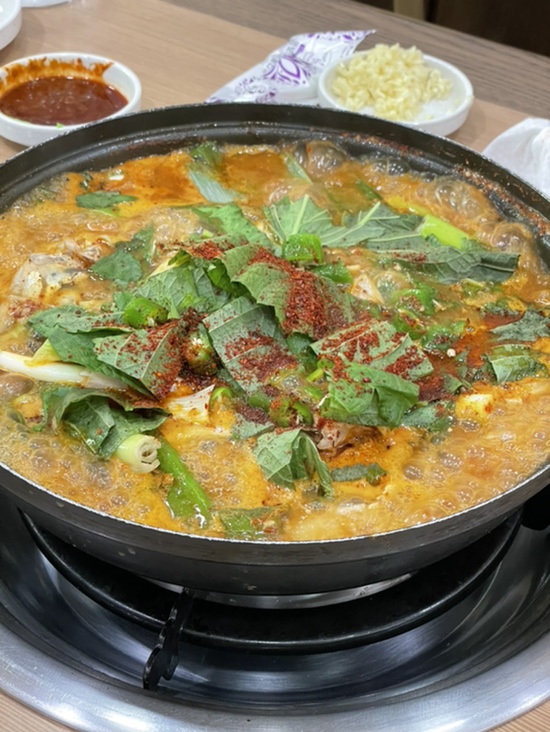 항아리짜글이송어비빔회 이미지