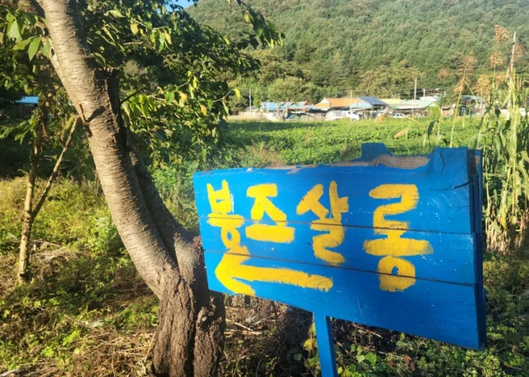 봉즈살롱 이미지