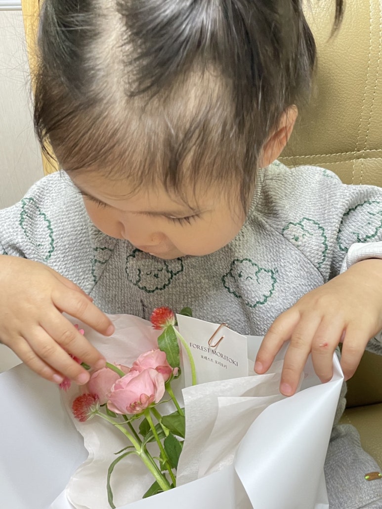 포레스트모리토키 이미지