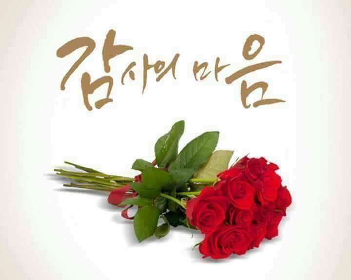 터미널화원 이미지