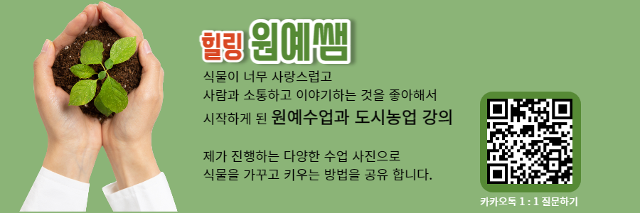 힐링원예협동조합 이미지