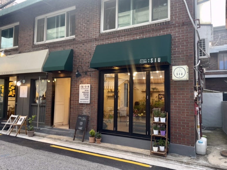 플로라시우 이미지