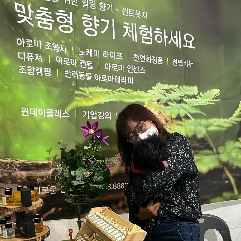 센트롯지 이미지