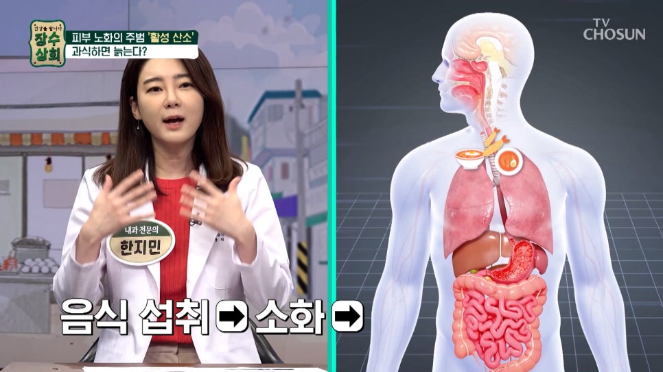 노화상회 이미지