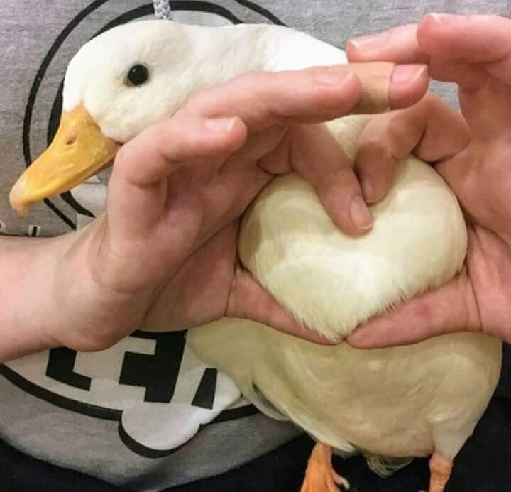 잔잔 이미지