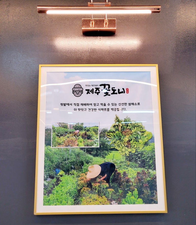 제주꽃도니 이미지