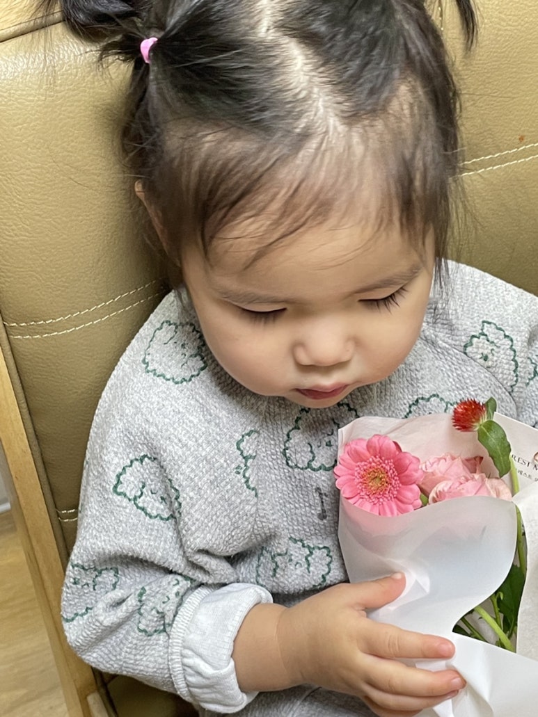 포레스트모리토키 이미지