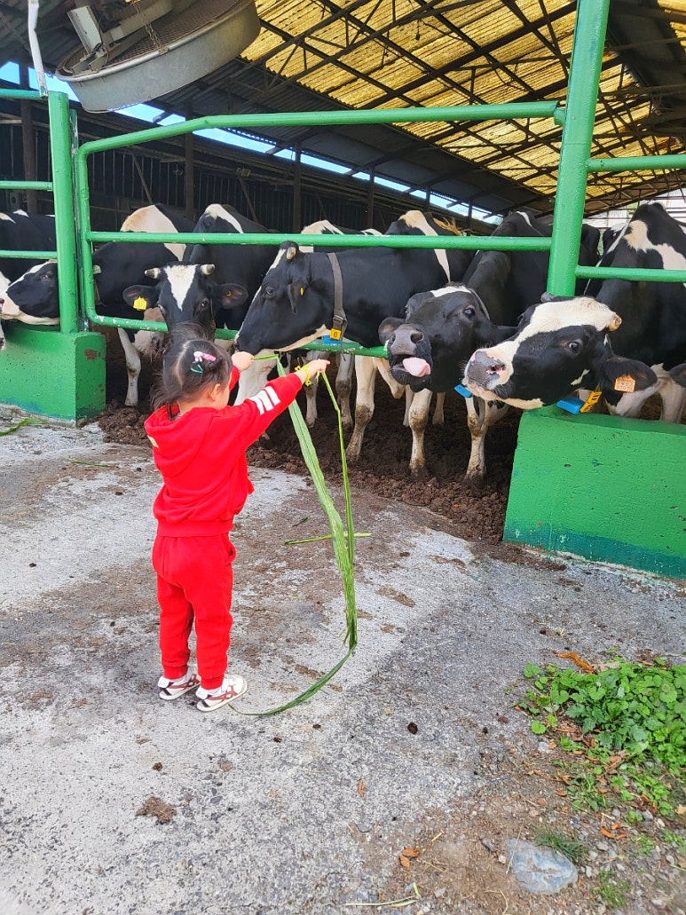 후사랑밀크(환희목장) 이미지