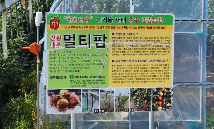 멀티팜 이미지