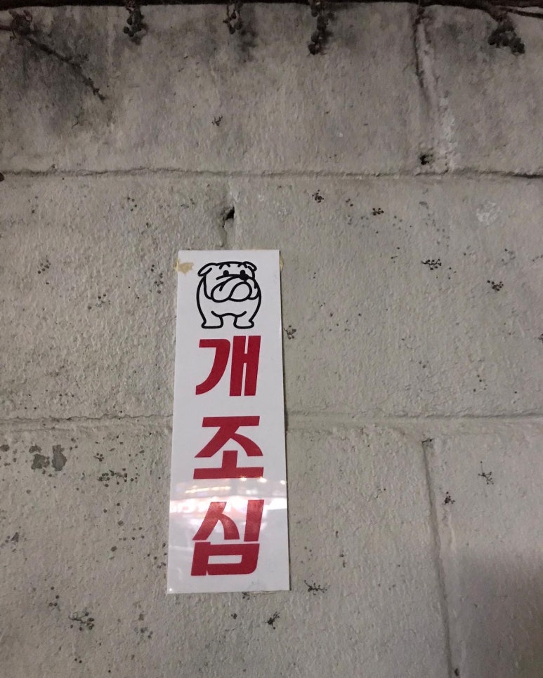 그라운딩 이미지