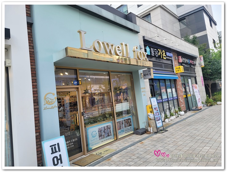 폭스피어싱 이미지