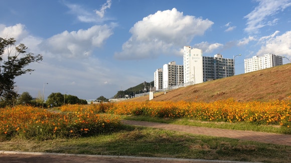 왜관역 자판기 이미지